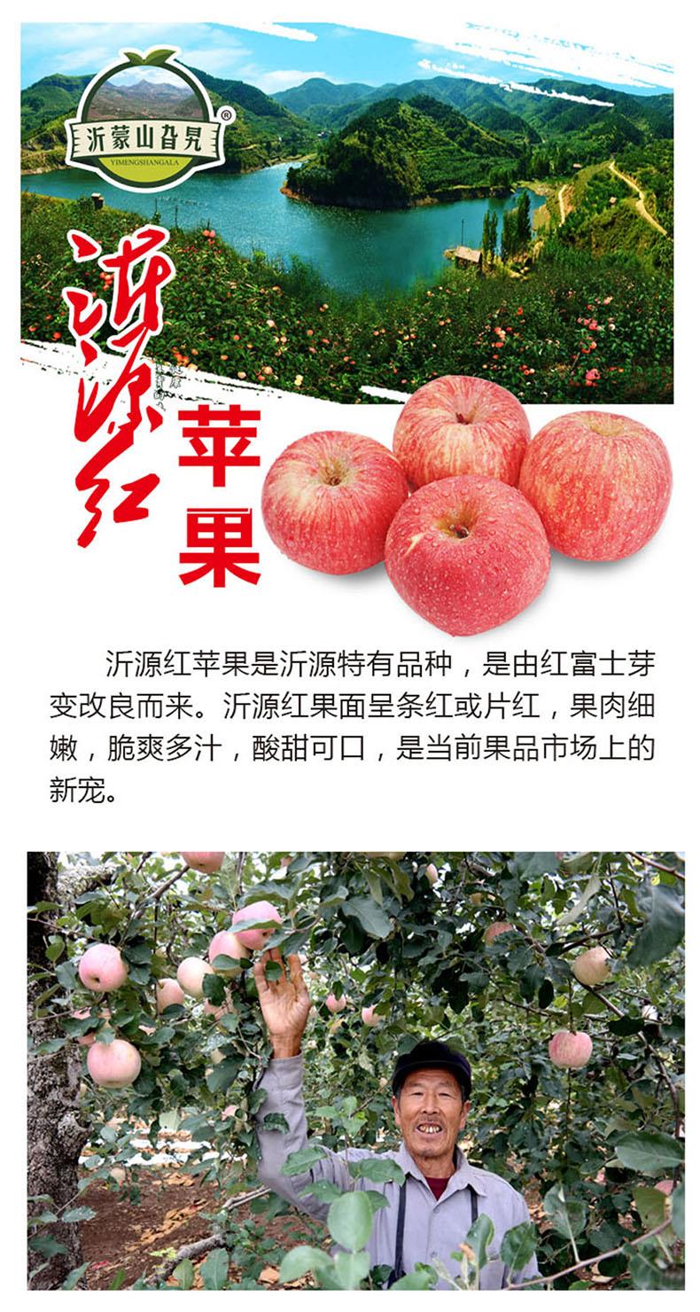沂源红苹果10斤装-惠买千乘优品