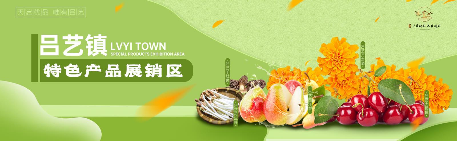 吕艺镇专区